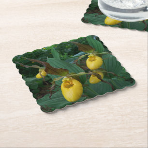 Group Of Yellow Lady's Slipper Orchid Flowers Paper Coaster
