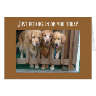 GROUP SAYS RUN AROUND CHASE TAIL