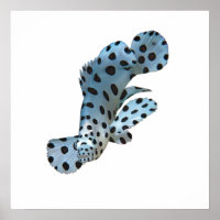 Grouper - Abstract Design - Cut out of a photo |