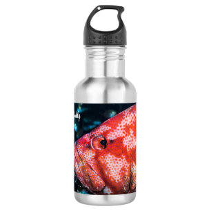 Grouper and Cleaner Shrimp 532 Ml Water Bottle