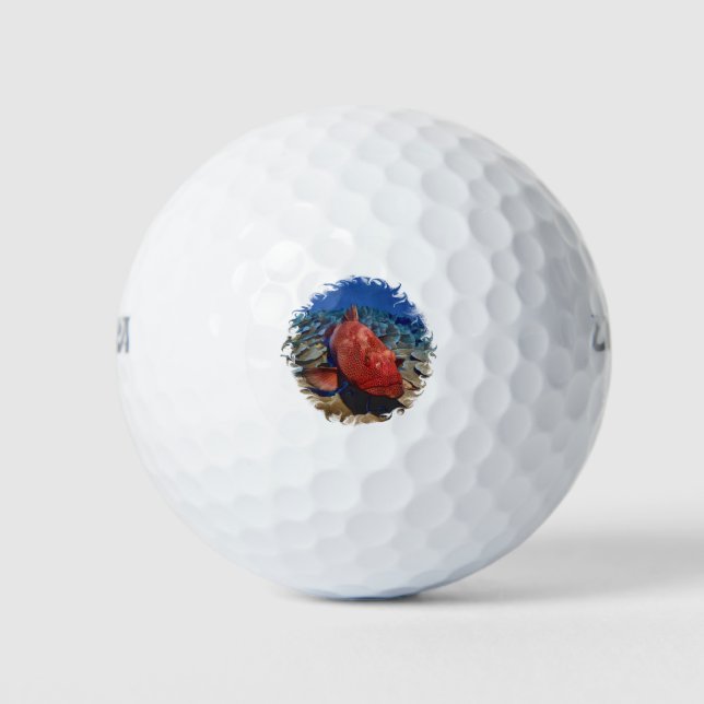 Grouper Fish On Coral Golf Balls (Front)