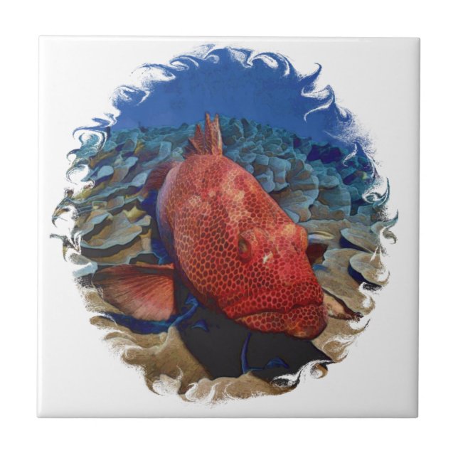 Grouper Fish On Coral Tile (Front)