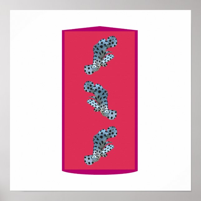 Grouper in Motion - Magenta-toned Background |  Poster (Front)