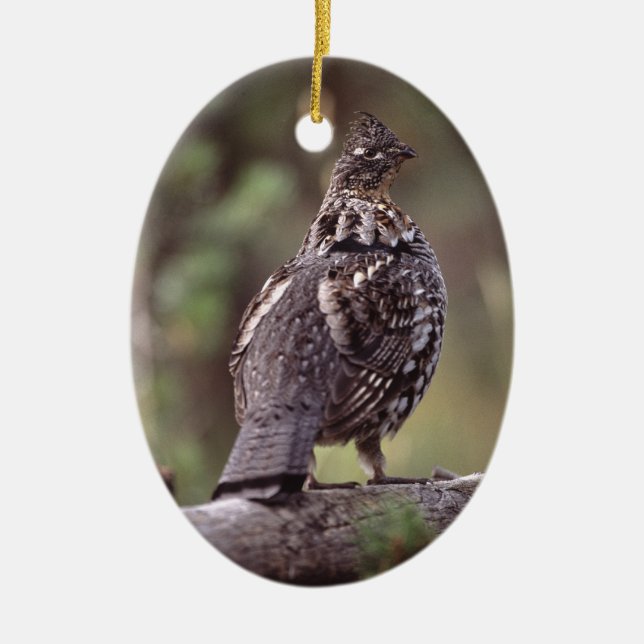 grouse ceramic tree decoration (Front)