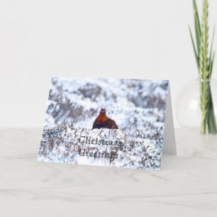 Grouse in a Blizzard Christmas Greetings Card