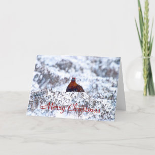 Grouse in a blizzard Merry Christmas Card