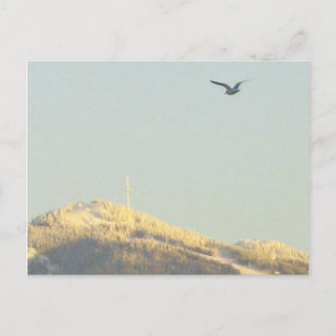 Grouse Mountain, BC Postcard