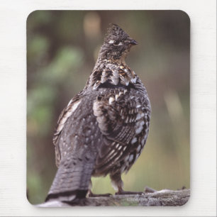 Grouse Mouse Mat