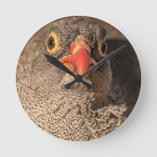 Grouse Round Clock