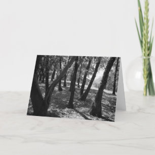 Grove at Hopland Station, 1966 Card