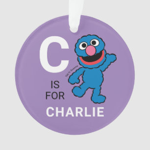 Grover Personalised Name with Photo Ornament