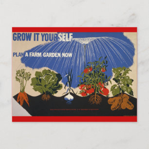 Grow a Farm Garden Postcard