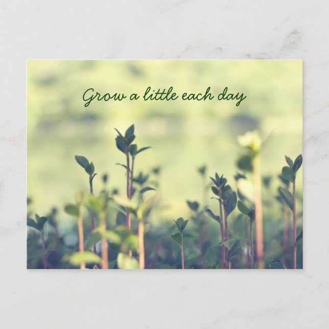 Grow A Little Each Day Inspirational Shoots Greens Postcard (Front)