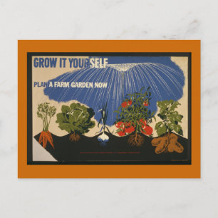 Grow It Yourself Postcard