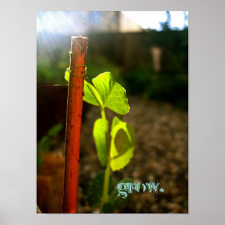 grow. poster