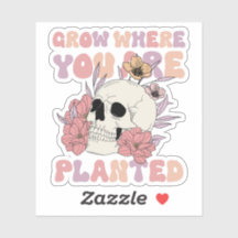 Grow Where You Are Planted