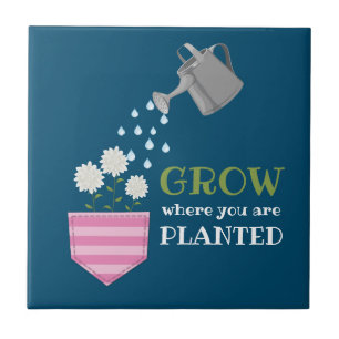 Grow where you are planted pocket inspirational  tile