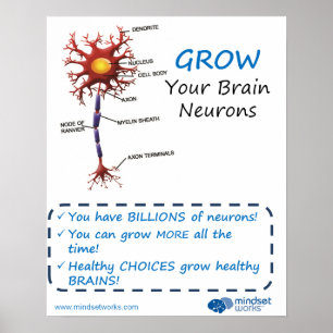 Grow Your Brain Neurons Brainology® Poster