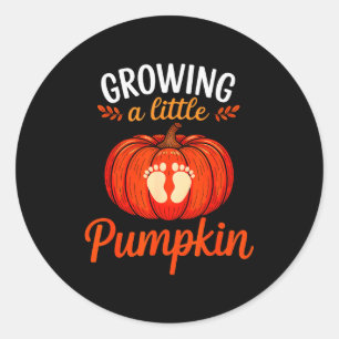 Growing A Little Pumpkin Pregnancy Thanksgiving Ma Classic Round Sticker