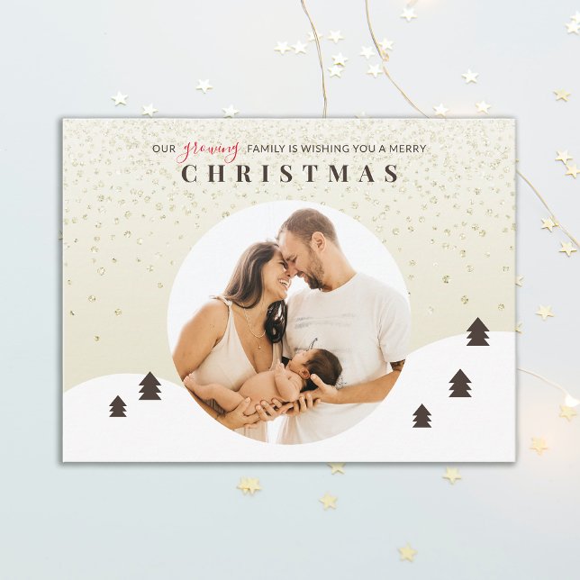 Growing Family Photo Merry Christmas Postcard (Creator Uploaded)