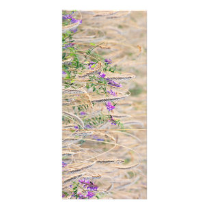 Growing Grain Rack Card