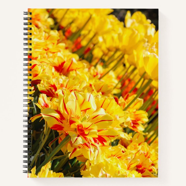 Growing in Gold  Notebook (Front)