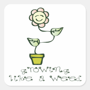 Growing Like a Weed Square Sticker