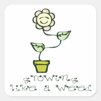 Growing Like a Weed Square Sticker