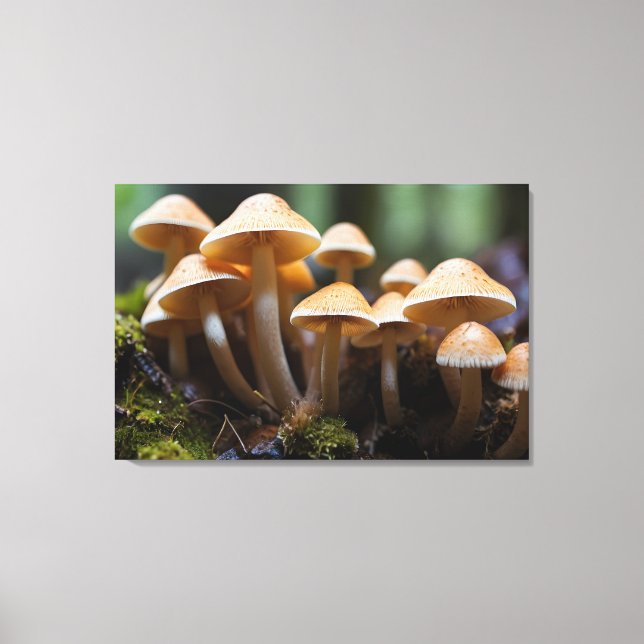 Growing mushrooms in forest canvas print (Front)
