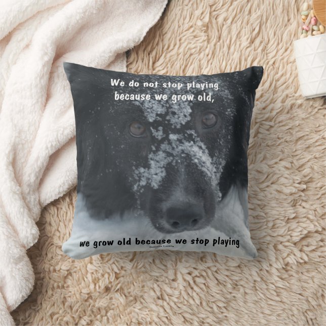 Growing Old Inspirational Quote Border Collie  Cushion (Blanket)