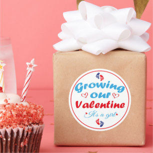 Growing Our Valentine It's A Girl New Pregnancy Classic Round Sticker
