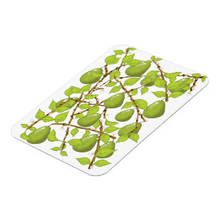 Growing Pears Magnet