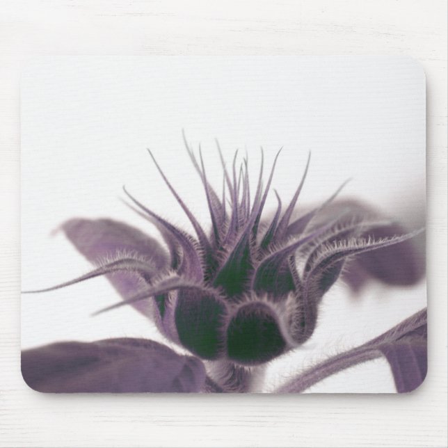Growing Sunflower Mouse Pad (Front)
