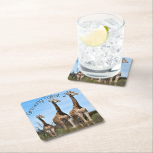 Growing Tall Safari Moment Square Paper Coaster
