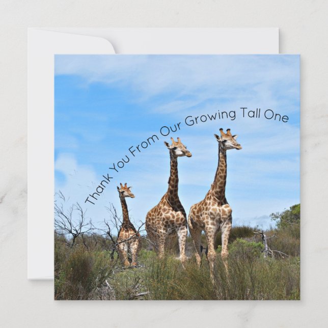 Growing Tall Thank You Message Card (Front)