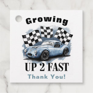 Growing Up 2 Fast Birthday Party Thank You Favour Tags