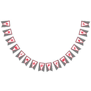 Growing UP TWO Fast Race Car Boy 2nd Birthday Bunting