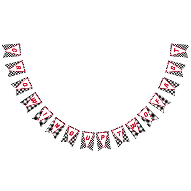 Growing UP TWO Fast Race Car Boy 2nd Birthday  Bunting (All)