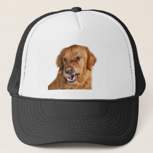 Growling Golden Retriever hat