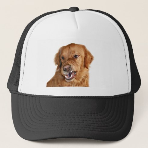Golden Retriever Hats & Caps | Zazzle UK
