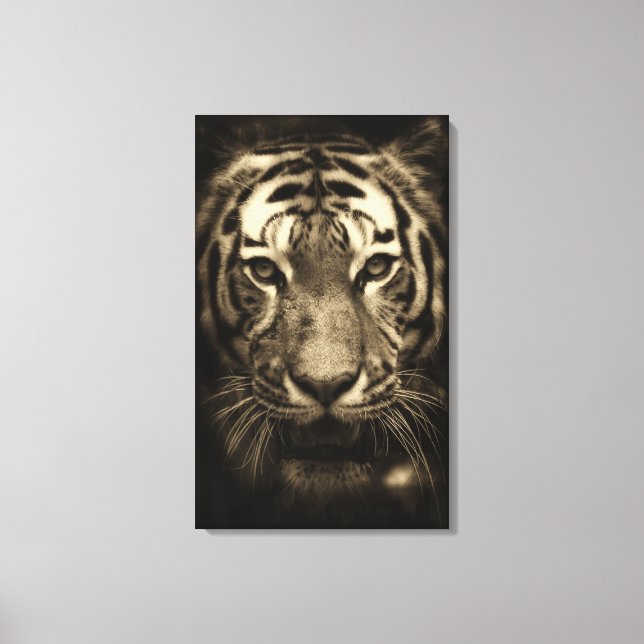 Growling Tiger Face in Sepia Tones Canvas Print (Front)