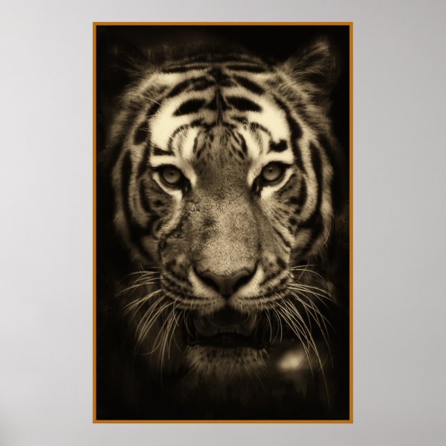 Growling Tiger Face in Sepia Tones Poster (Front)