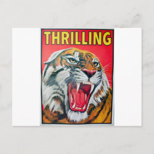 Growling Tiger Postcard