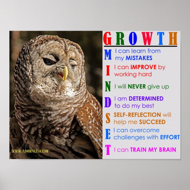 Growth Mindset Owl Poster (Front)