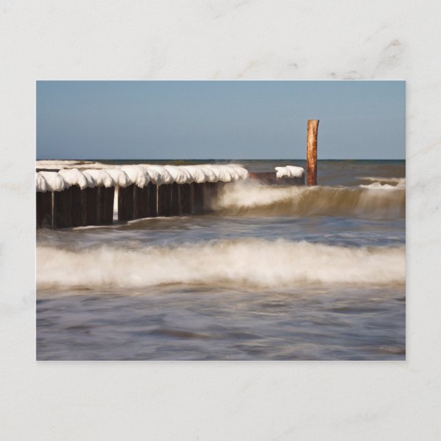 Groynes in winter on shore of the Baltic Sea Postcard (Front)