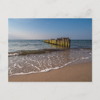 Groynes on shore of the Baltic Sea Postcard