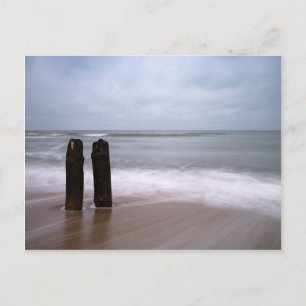 Groynes on the Baltic Sea coast Postcard