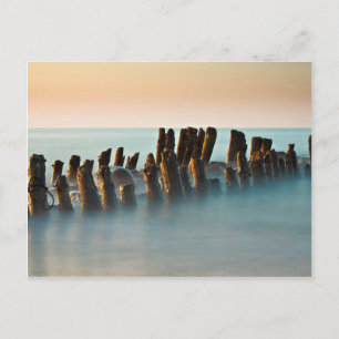 Groynes on the Baltic Sea coast Postcard