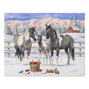 Grulla Pinto Grey Paint Horses on a Winter Farm Faux Canvas Print