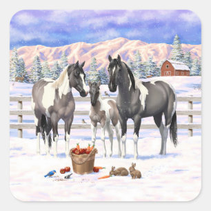 Grulla Pinto Grey Paint Horses on a Winter Farm Square Sticker
